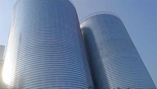 潮阳2座混凝土高架卷板仓